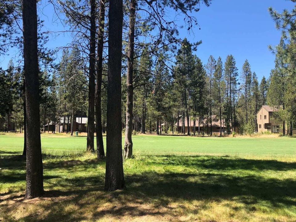 View of fairway 12 from master bedroom