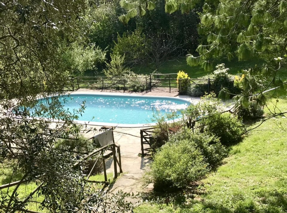 The pool, in Nature