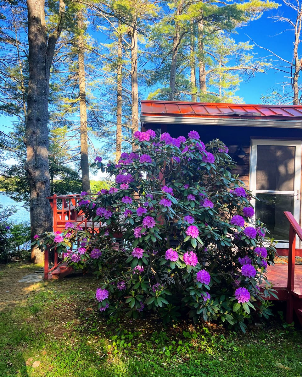 Lakefront Cottage - sleeps 6 - 2 baths  Cabin in Winthrop