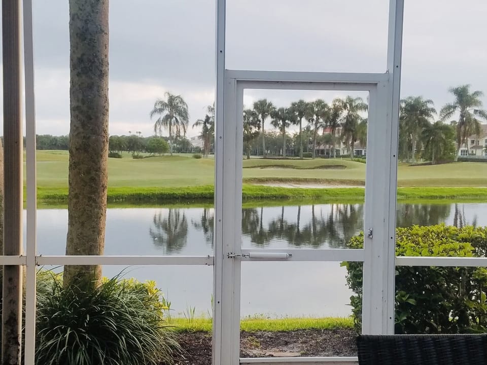 Views from screen patio