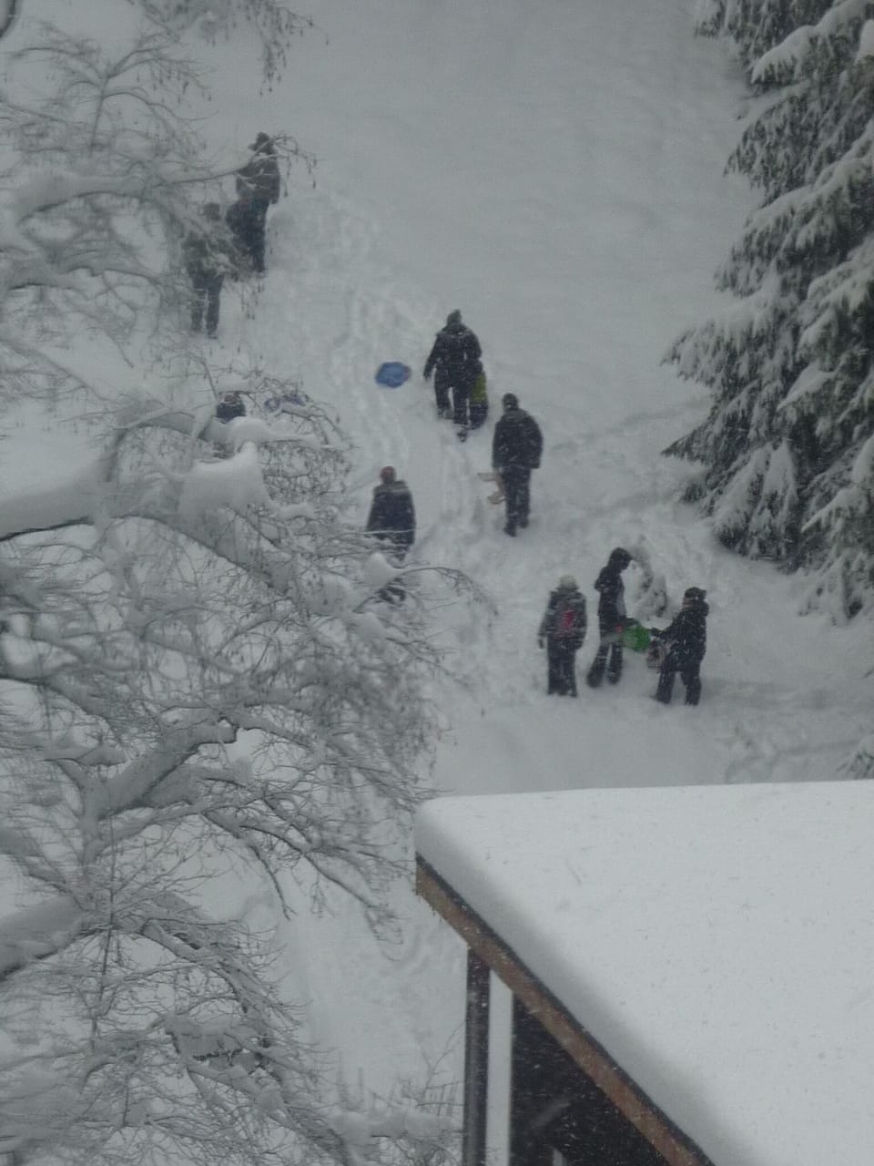 Snow and ski sports