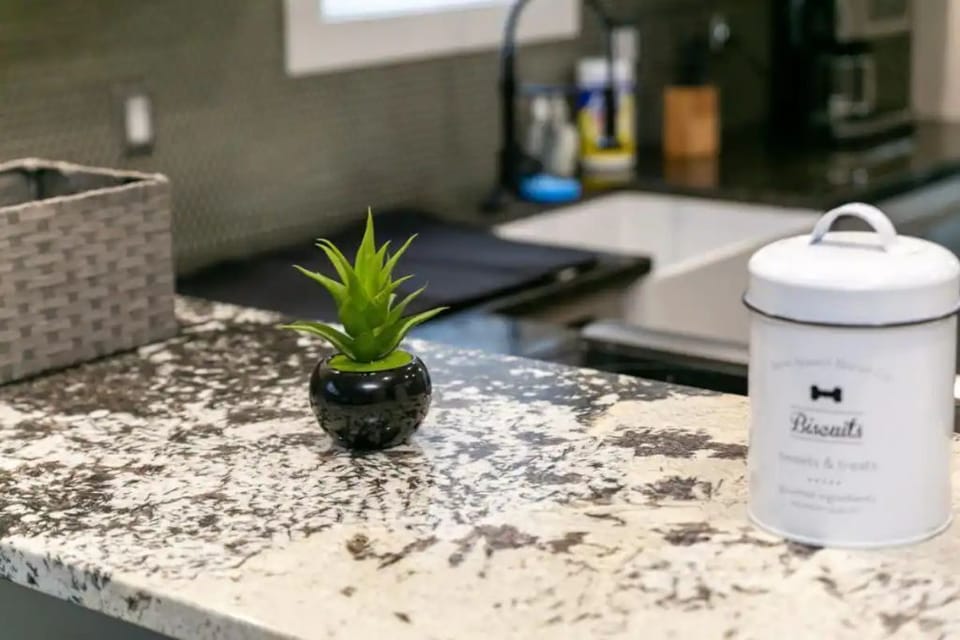 Kitchen plant