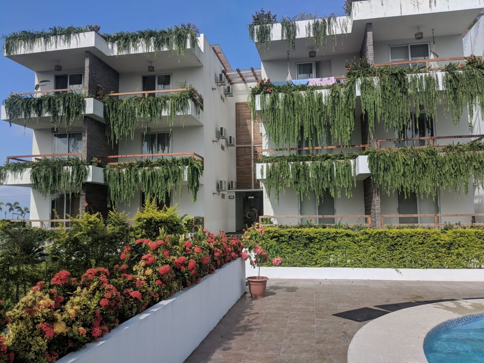 Outdoor communal pool area.