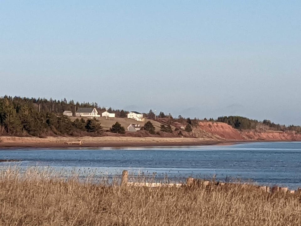 You can see our cottage on the right side of the pictue