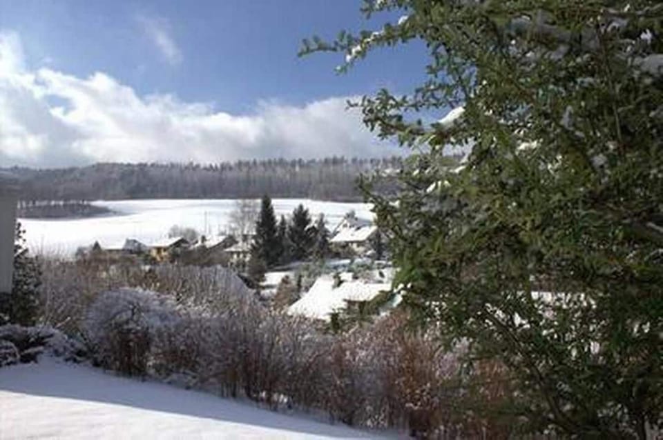 in winter
