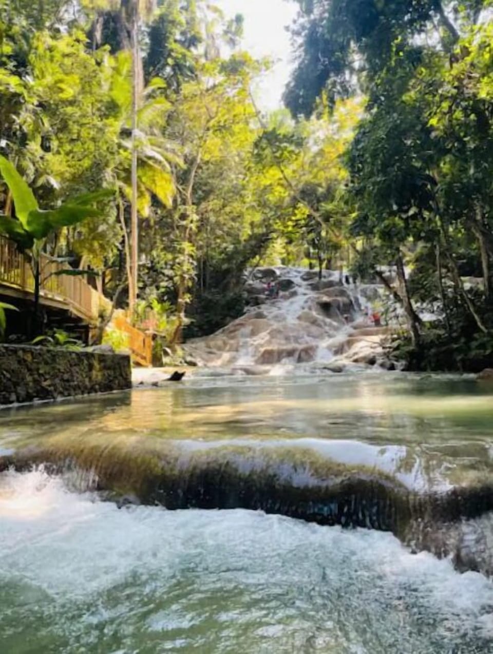 Area Attraction: Dunns River Fall