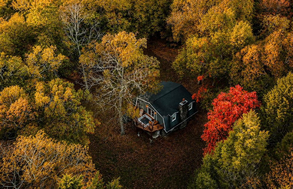 Tucked right into the trees, this cabin gives you total quiet with no neighbors in sight. Fall color surrounds the whole property, and the hot tub deck is just steps from the front door once you're ready to unwind.
