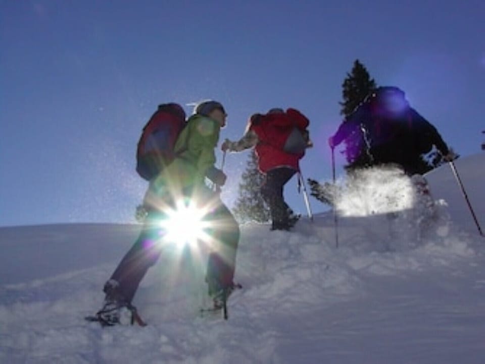 Snow and ski sports