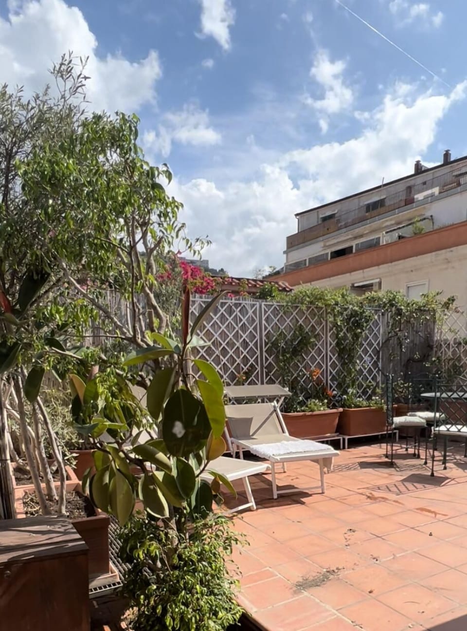 Terrace/patio