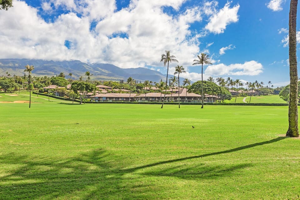 This stunning golf course offers a peaceful and scenic backdrop, ideal for golf enthusiasts and nature lovers alike. Enjoy the beauty of West Maui.