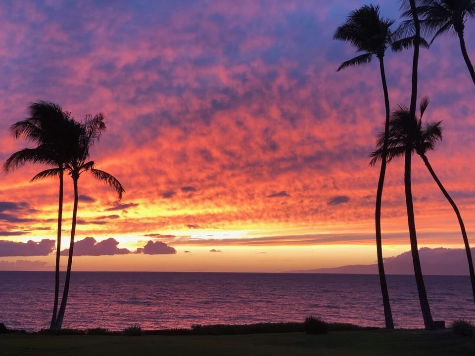Imagine sitting with drink in hand watching these colors appear