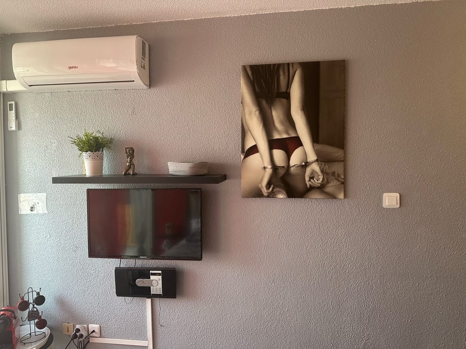 Television