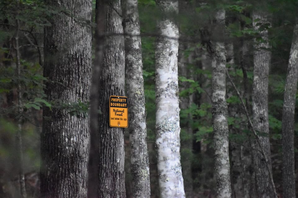 Deer Acres Cabin adjoins National Forest property. 