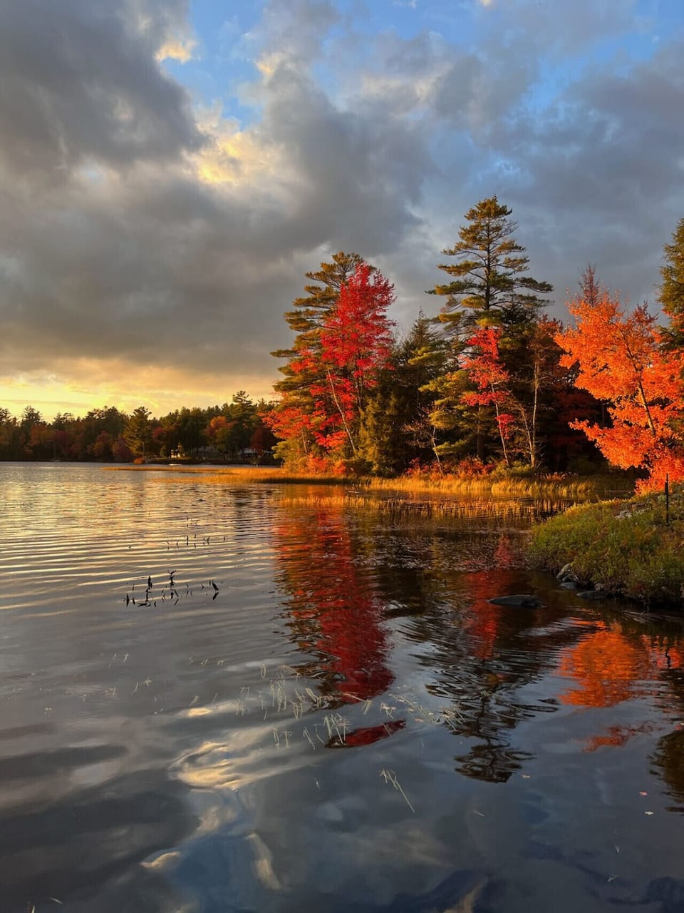 Fall view in the cove