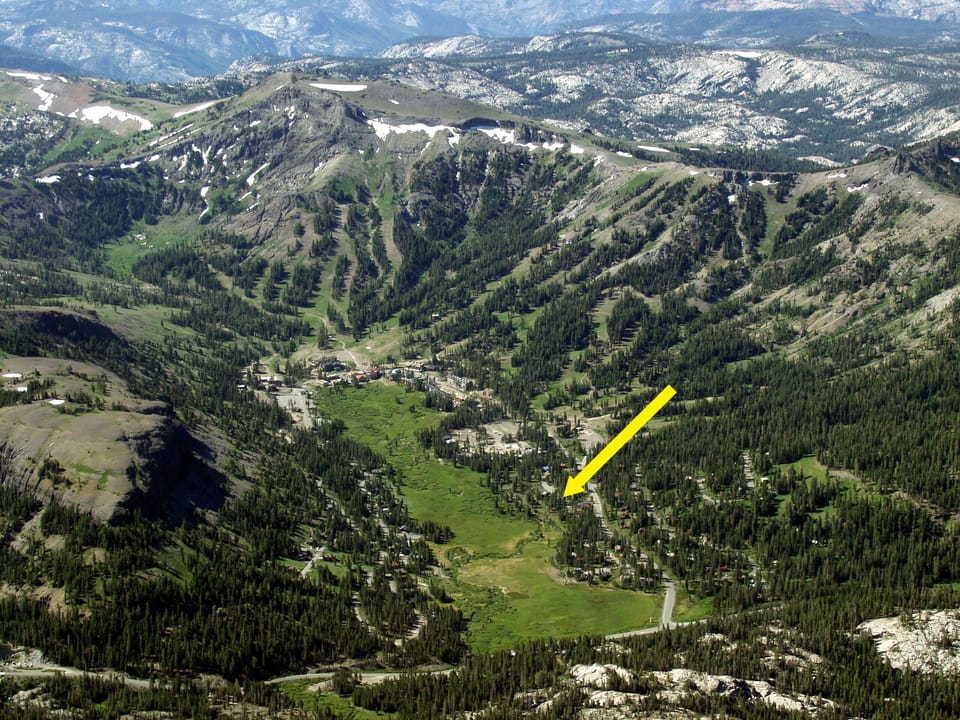 Your Meadow Access