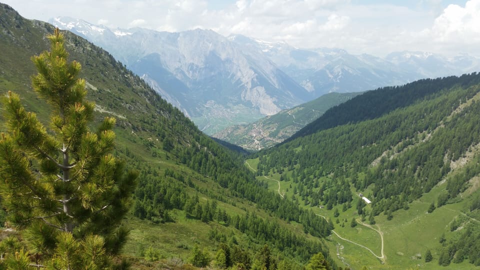 Mountain views