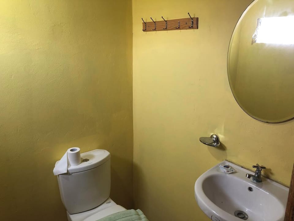 Simple but clean bathroom with toilet, shower and sink.