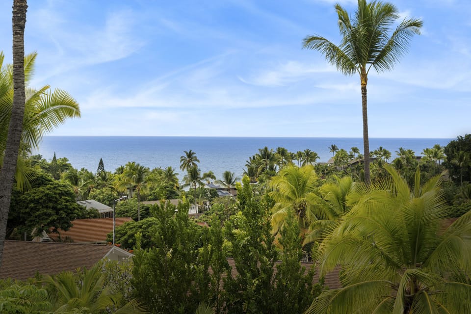 Views from the upstairs lanai.
