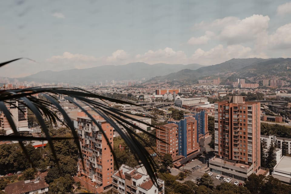 La vista