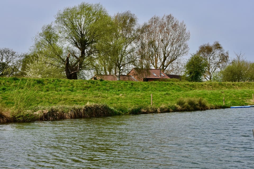 Image 17