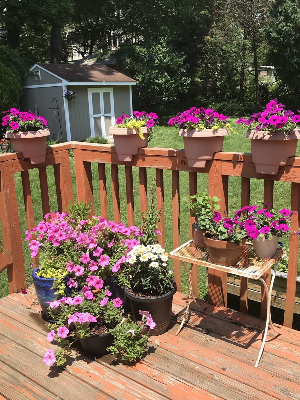 Beautiful Backyard in the Spring.