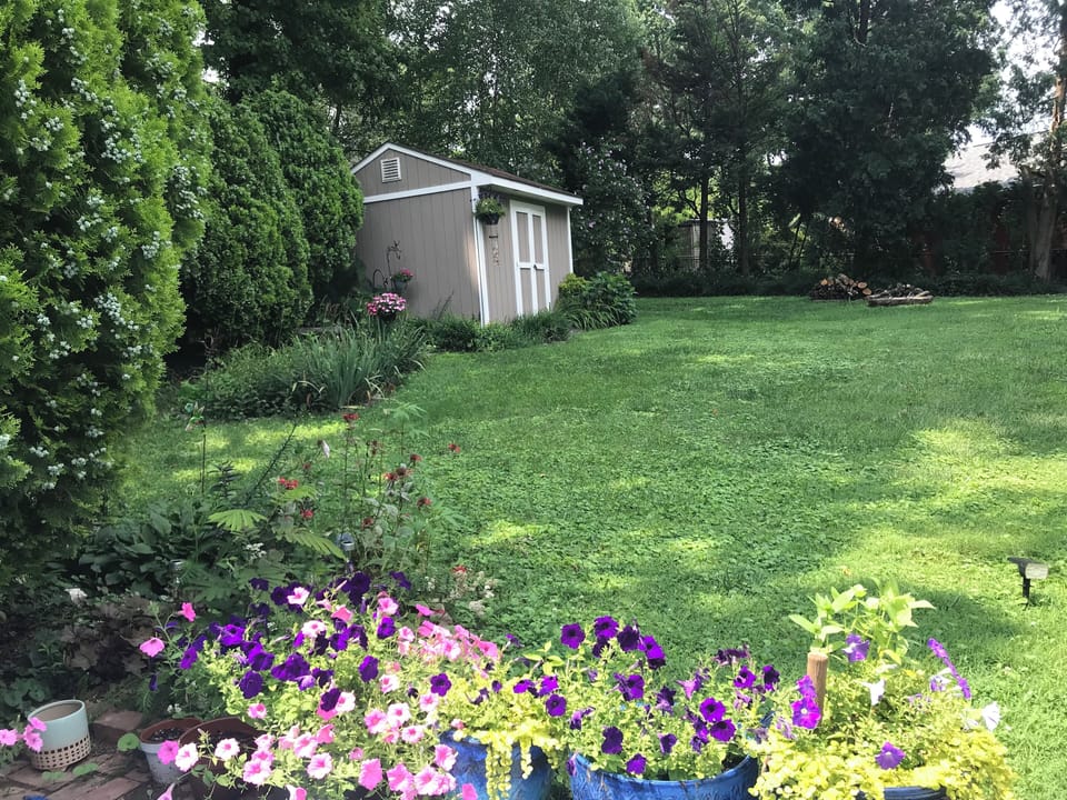 View from patio into yard.