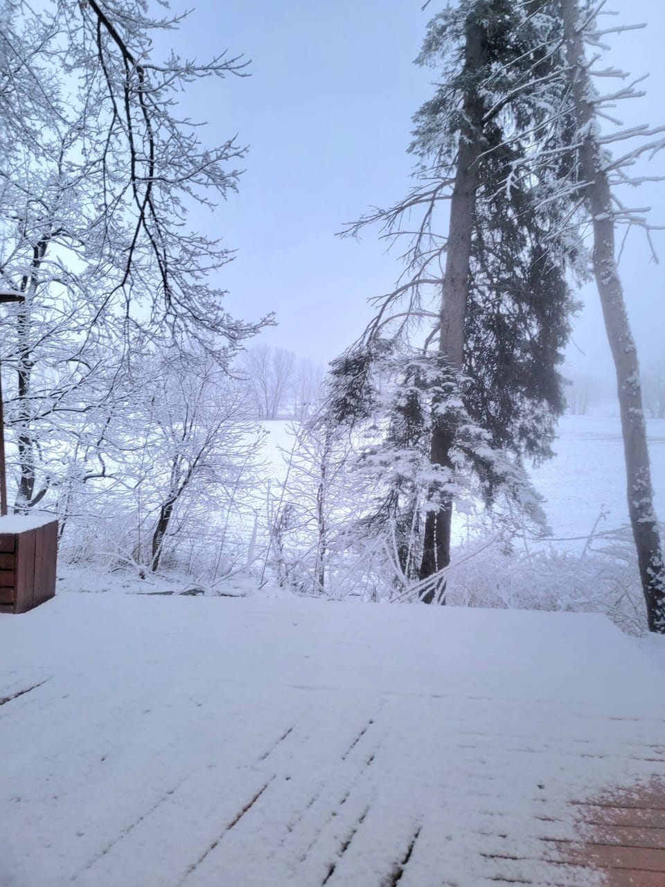 Snow and ski sports