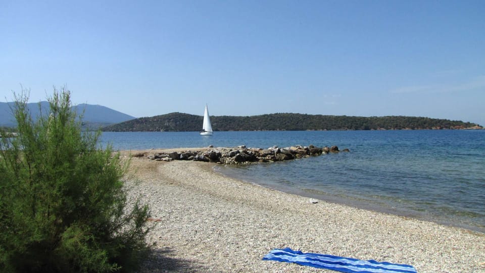 The beach