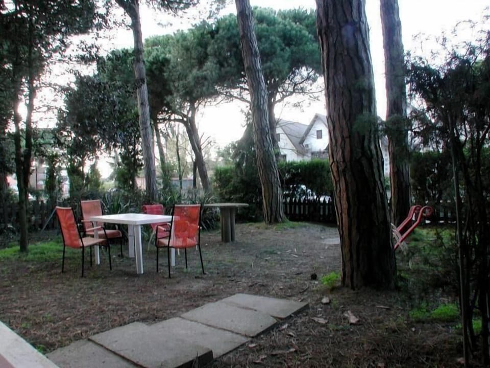 Garden with table and chairs