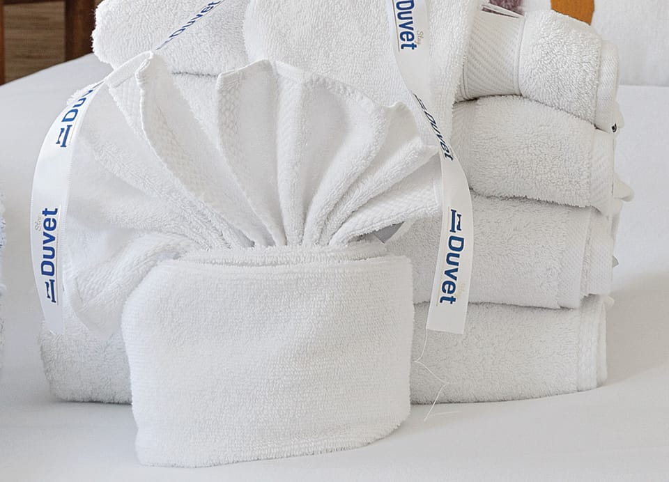 Dog Friendly Home with Fenced Yard | Chic Coastal