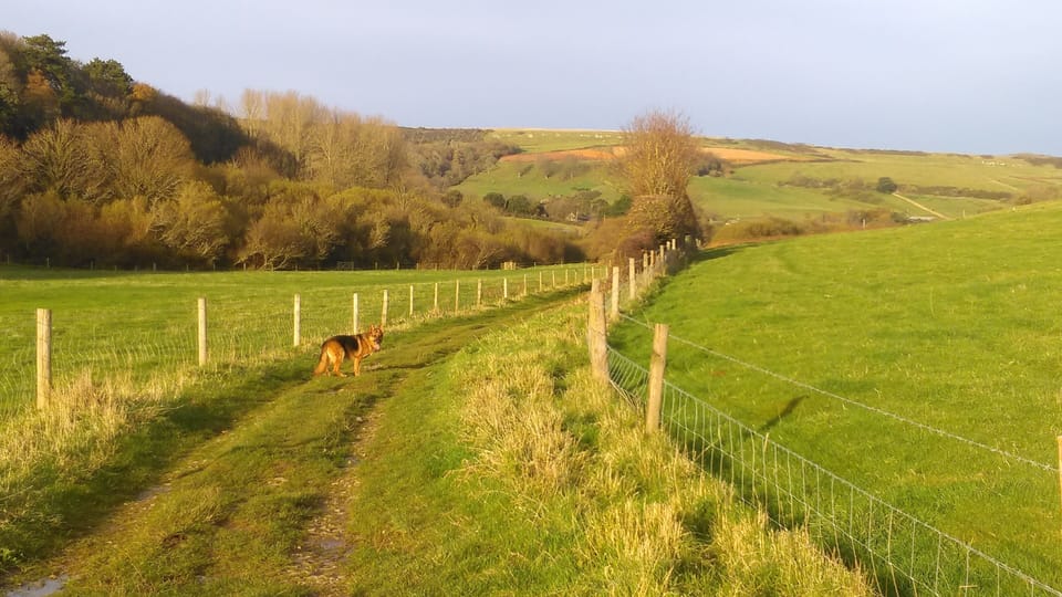Come and explore Dorset