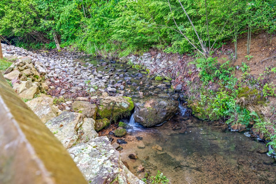 Enjoy the view of the creek while sitting in the hot tub 