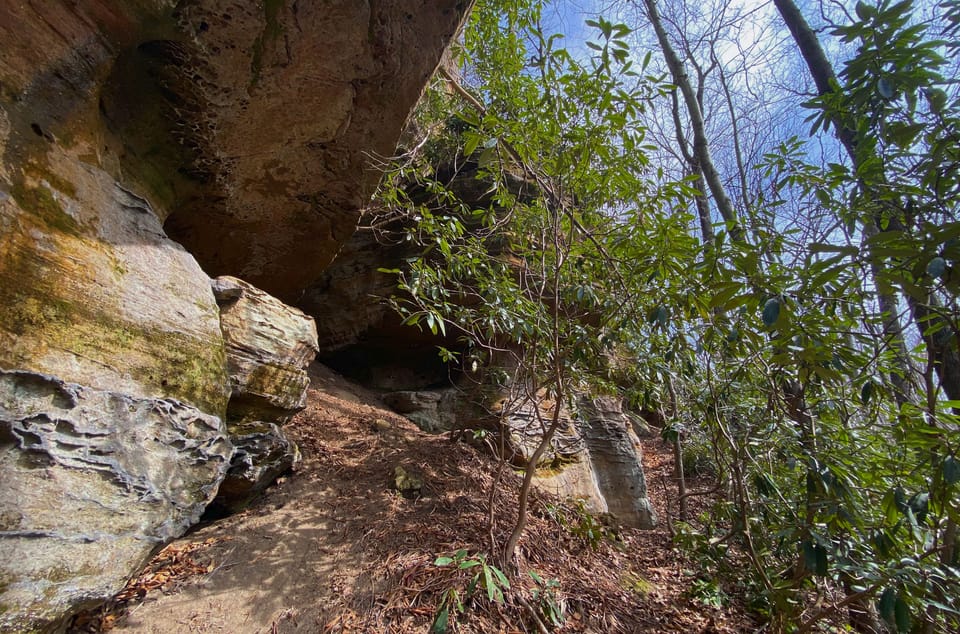 Trail along the ridge to access all trails and climbing areas.