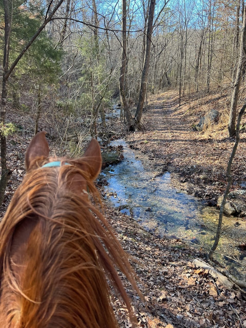 Creekside trial rides! Wet weather creek in areas. Advanced booking required.