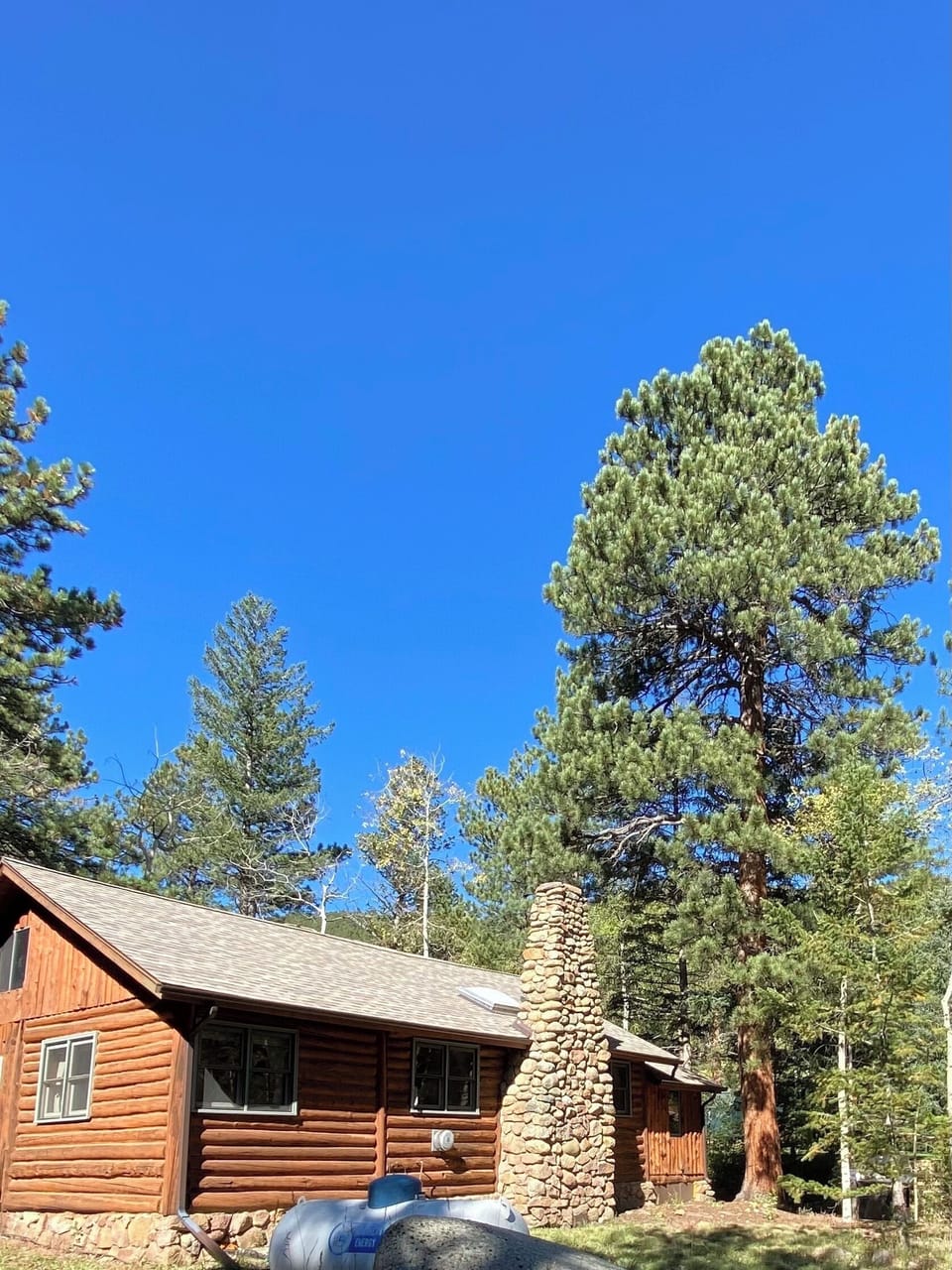 Cabin exterior in summer