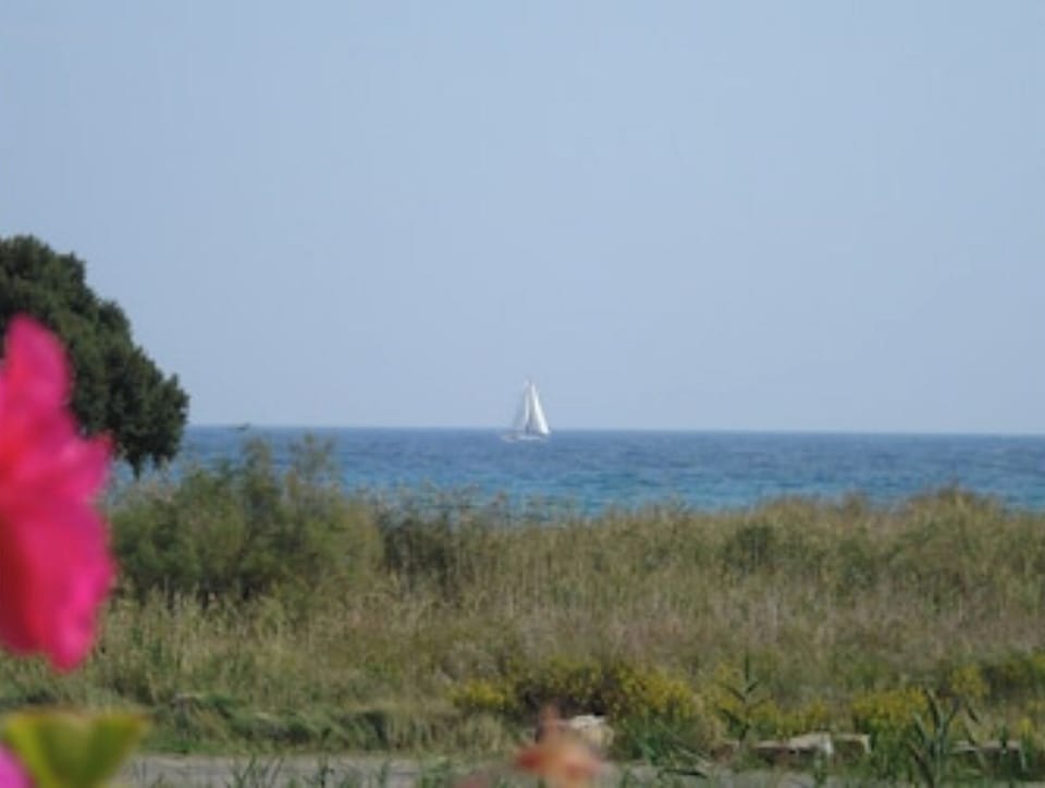 1st floor Villa El bimbo 50 metres from the sandy beach Apartment in Corsica