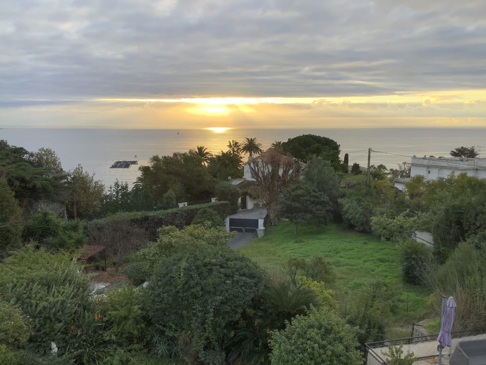 View of the end of the garden and of the second gate.