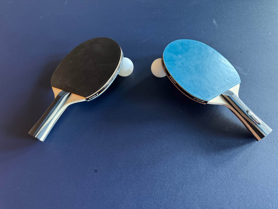 Ping pong table