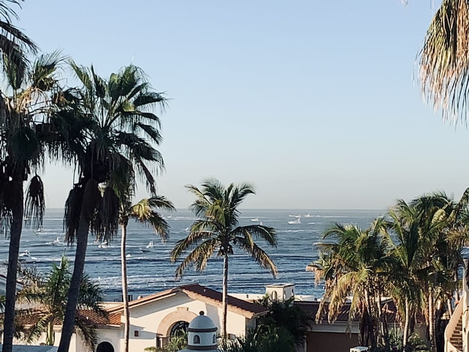 Beach/ocean view