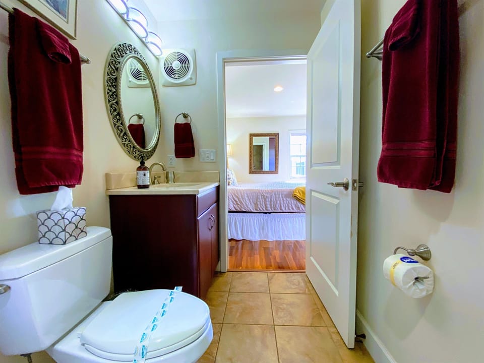 Bathroom Reverse Angle.