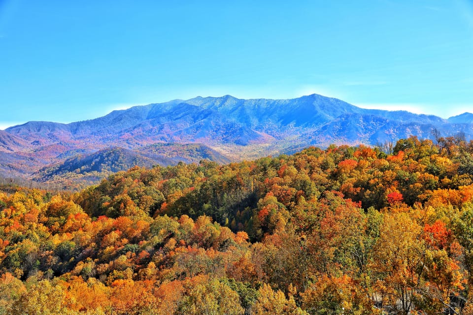 Beautiful fall colors