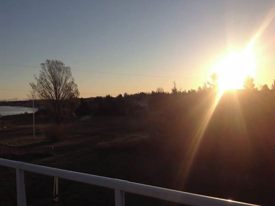 Morning sun from patio.