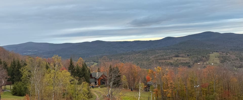 Foliage view