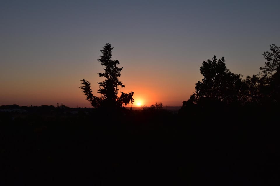 Sunset view