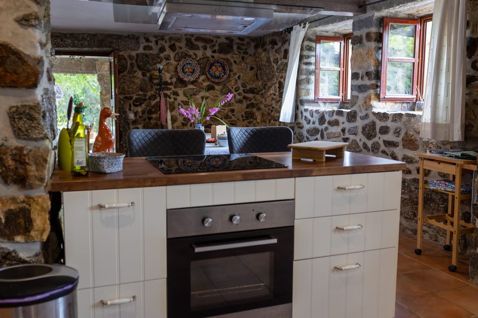 An island with an induction cooker - chat to friends while cooking. 