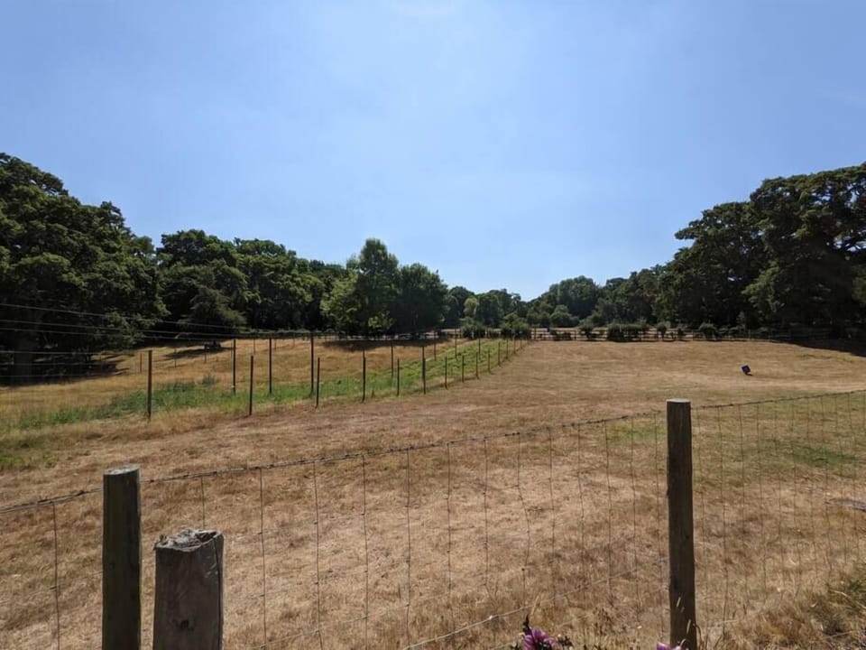 Brewery Field (1)
