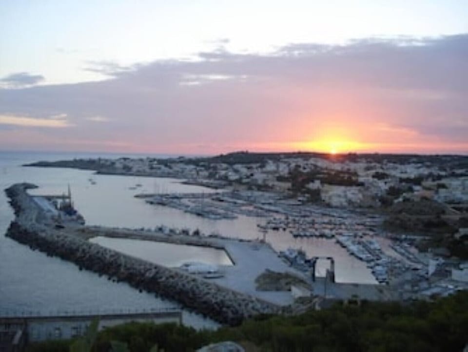 SM di leuca