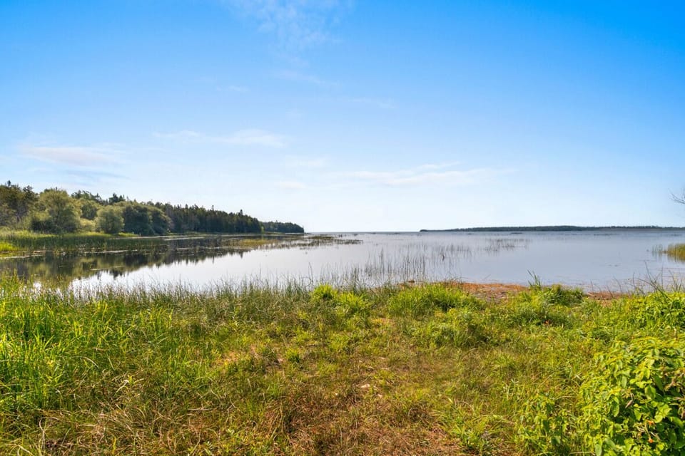 Moonlight Bay within Walking Distance