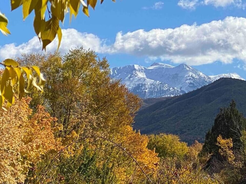 Trails behind the Tower offer breathtaking views of Mount Gunnison and a peaceful nature experience.