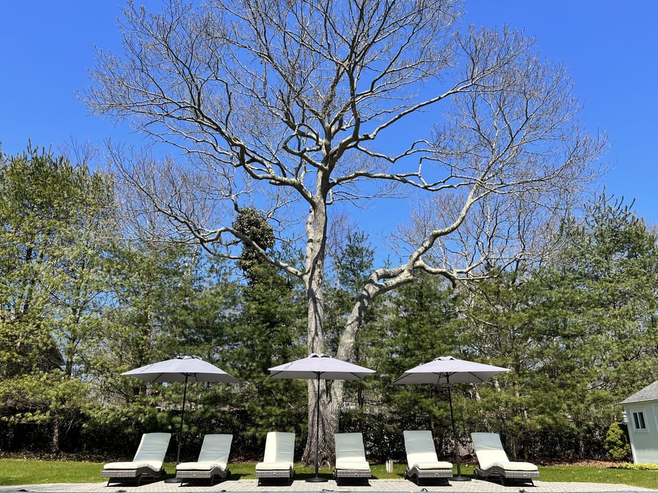 Lounge deck with 6 brand-new lounge chairs and 3 umbrellas 